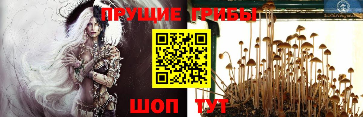 Псилоцибиновые грибы MAGIC MUSHROOMS Реж